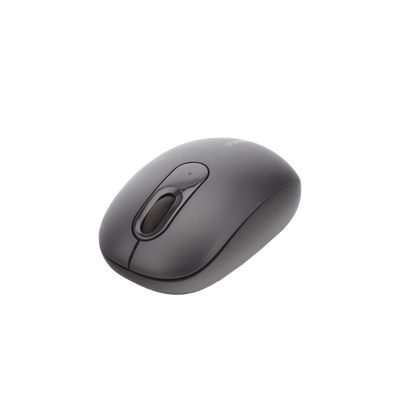 Miniatura 13