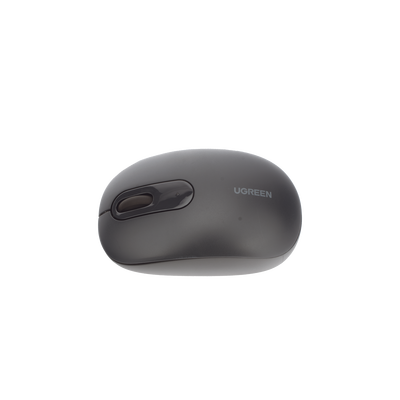Miniatura 19