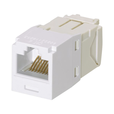 Miniatura 19