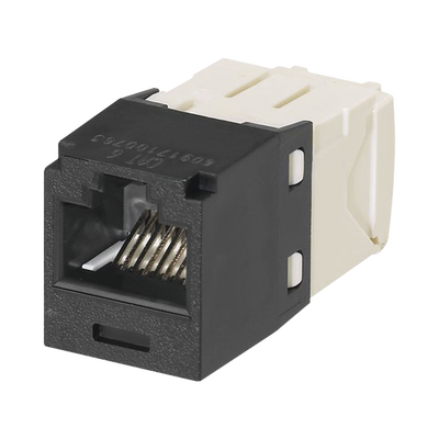Miniatura 12