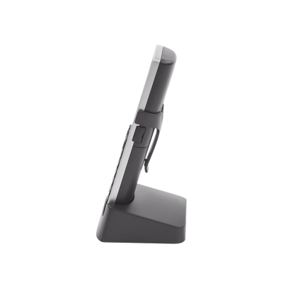 Miniatura 11